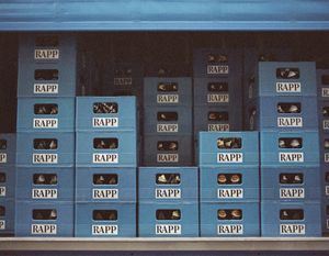 How to Use Expired Domains for SEO Without Getting Penalized